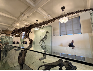 New York City - Manhattan - American Museum of Natural History