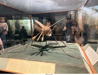 New York City - Manhattan - American Museum of Natural History  - Adam with rocket for godson Anthony