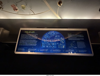 New York City - Manhattan - American Museum of Natural History