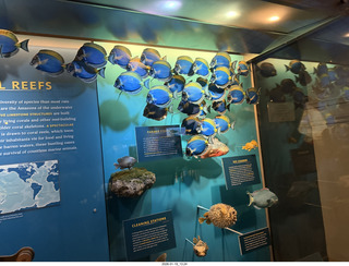 New York City - Manhattan - American Museum of Natural History