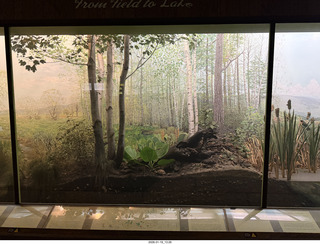 New York City - Manhattan - American Museum of Natural History