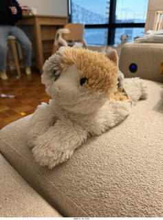 New York City - Manhattan - godson Anthony Jr. cat toy