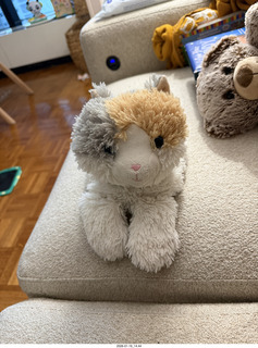 New York City - Manhattan - godson Anthony Jr. cat toy