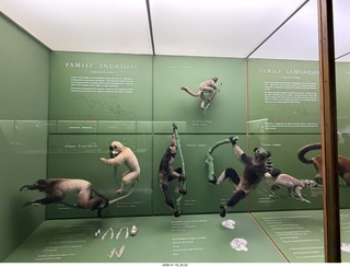 New York City - Manhattan - Carnegie Hall  - Sir Karl Jenkins