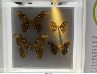 New York City - Manhattan - American Museum of Natural History