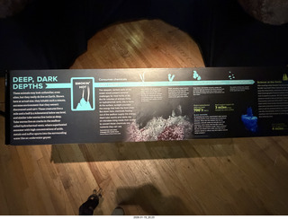 New York City - Manhattan - Carnegie Hall - Sir Karl Jenkins himself