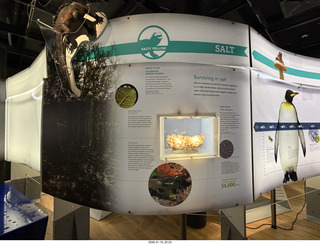 New York City - Manhattan - American Museum of Natural History