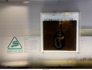 New York City - Manhattan - Carnegie Hall - Sir Karl Jenkins