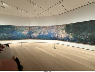 New York City - Manhattan - Museum of Modern Art (MOMA) - Monet