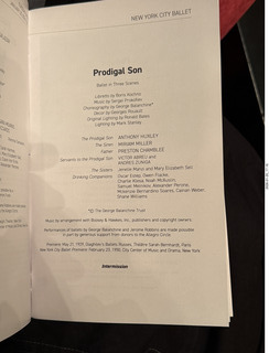 New York City - New York Ballet - bookend icosohedron