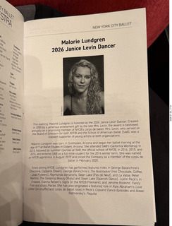 New York City - New York Ballet - bookend icosohedron