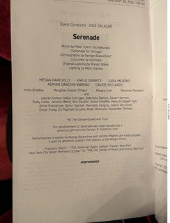 New York City - New York Ballet - bookend icosohedron