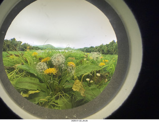 New York City - Manhattan - Carnegie Hall - Rachell Ellen Wong and David Belkovski