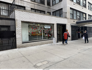 New York City - Manhattan - Novapetal NYC