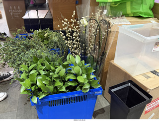 New York City - Manhattan - Novapetal NYC