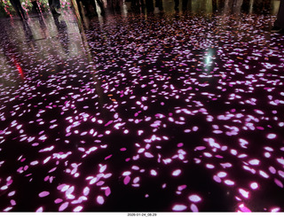 New York City - Manhattan - Empire-Hotel elevator