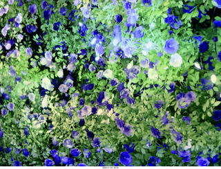 New York City - Arte Museum