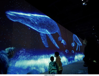 New York City - Manhattan - Circle Line tour