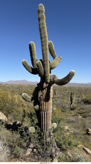 Scottsdale - Granite Mountain Hike