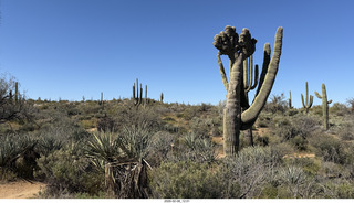 Scottsdale - Granite Mountain Hike