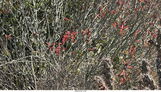Scottsdale - Granite Mountain Hike