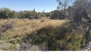 Scottsdale - Granite Mountain Hike - huge saguaro cactus