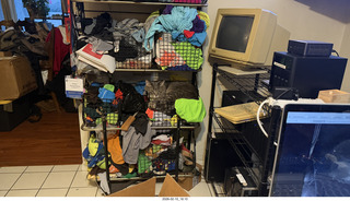 cat Potato taking a nap