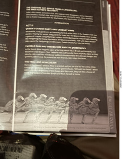 13 a2s. Ballet Arizona - Alice in Wonderland program