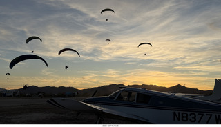 193 a2s. Arizona Flying Circus - PPGs - sunset