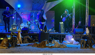 261 a2s. Arizona Flying Circus - night - Traveler band
