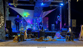 262 a2s. Arizona Flying Circus - night - Traveler band
