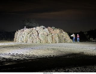 336 a2s. Arizona Flying Circus - night - Christmas trees