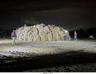 337 a2s. Arizona Flying Circus - night - Christmas trees