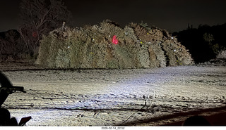 346 a2s. Arizona Flying Circus - night - Christmas trees under attack