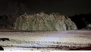 347 a2s. Arizona Flying Circus - night - Christmas trees under attack