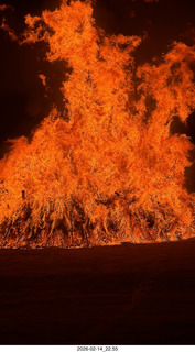 369 a2s. Arizona Flying Circus - night - Christmas trees on fire