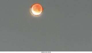total solar eclipse picture (not mine)