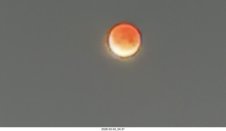 total solar eclipse picture (not mine)