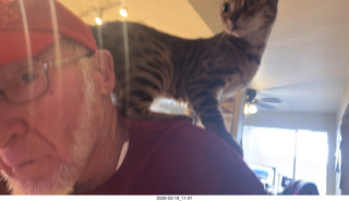 Adam in the multi-mirror