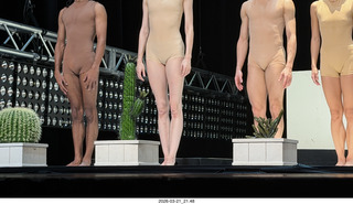 Phoenix Orpheum Theater - Ballet Arizona - Cacti and Other Works