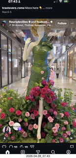 NovaPetal flower-man