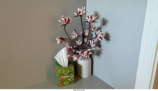 2 a2v. Philadelphia AirBnB flowers Philadelphia AirBnB flowers