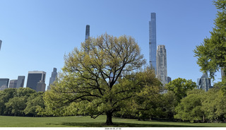 7 a2v. New York City - Central Park