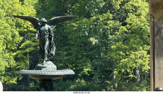 14 a2v. New York City - Central Park