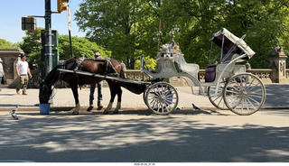 15 a2v. New York City - Central Park