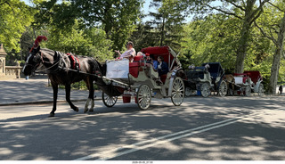 16 a2v. New York City - Central Park