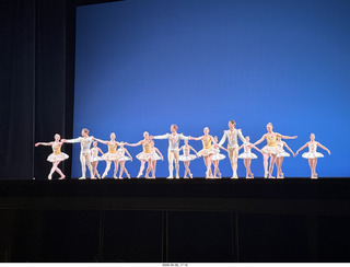 232 a2v. New York City Ballet