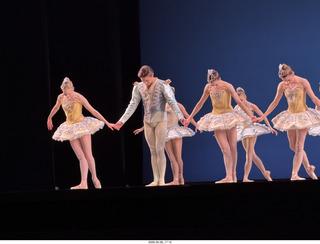 245 a2v. New York City Ballet