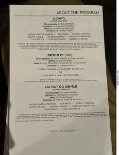 11 a2v. New York Cithy - Joyce Theater - Dave Parsons dance program