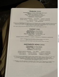 12 a2v. New York Cithy - Joyce Theater - Dave Parsons dance program